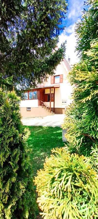 Apartment Relja Zlatibor Exterior foto